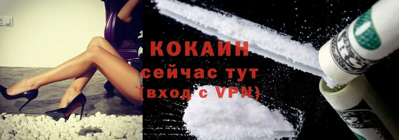 где купить наркоту  MEGA маркетплейс  Cocaine VHQ  Апатиты 